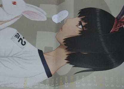 Tsukasa Jun Art Book Tsukasa Bullet CALENDAR BOOK2011 
