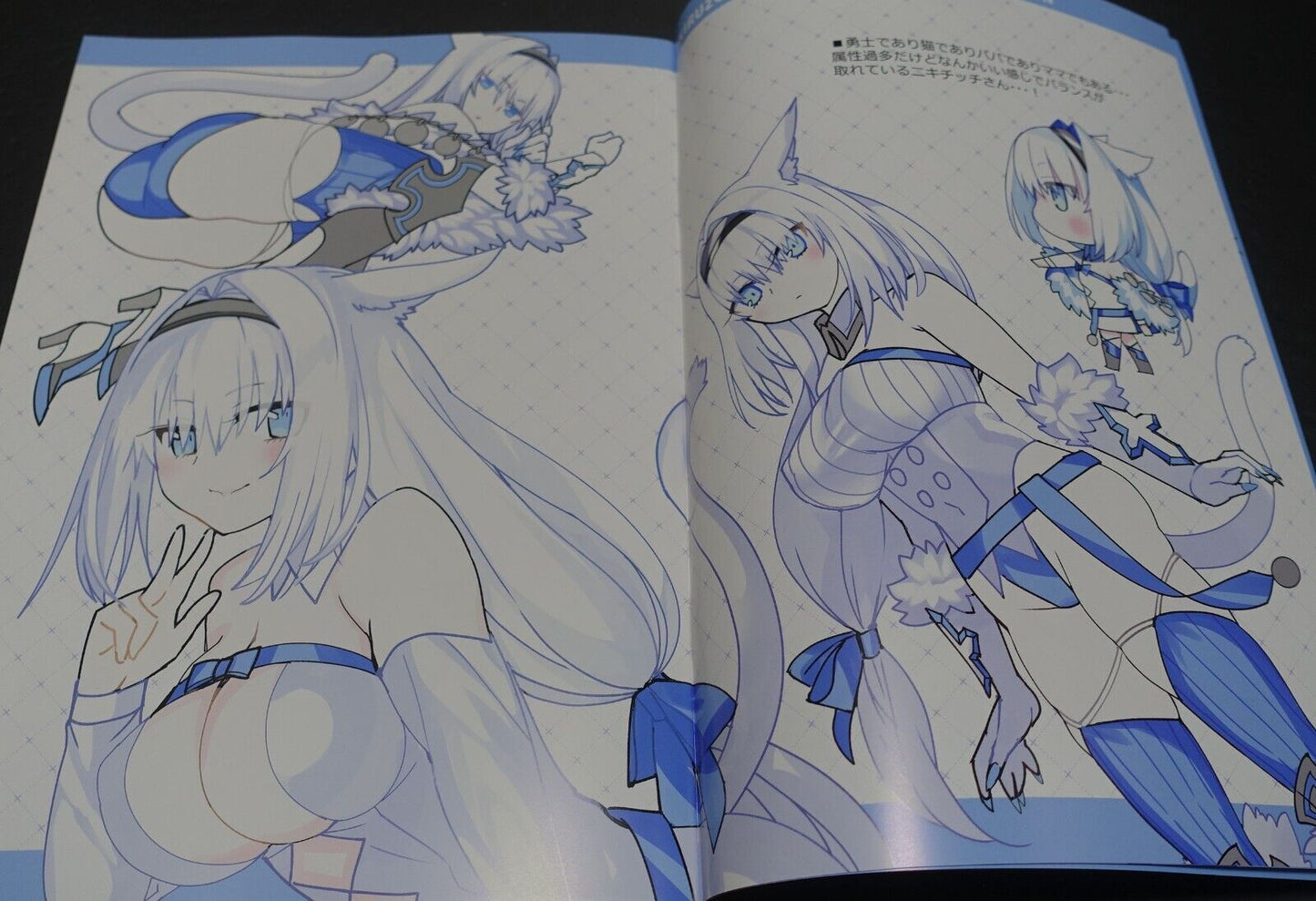 Robina go round Fate Grand Order FGO NIKITICH Designer's Art Book Pre-Order 