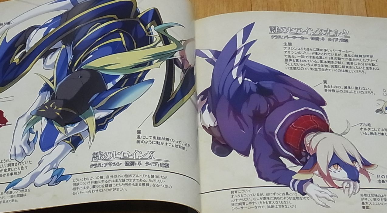 Sokomono Suisou Fate FGO Fan Art Book ANIMALIZED SERVANT GUIDE IN FGO ver Altria 