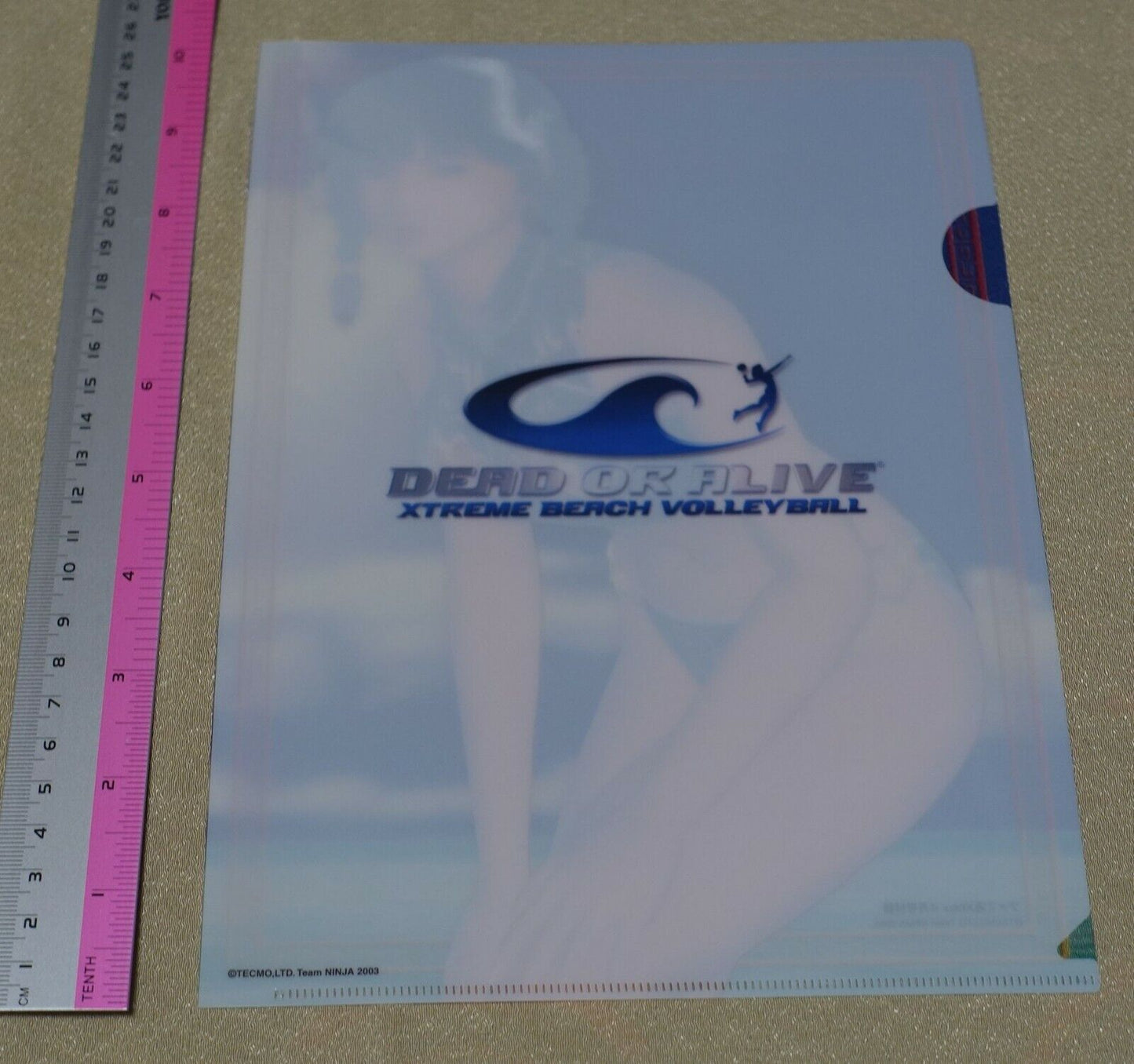 Dead or Alive Xtreme PVC Art Sheet Clear File Leifang 