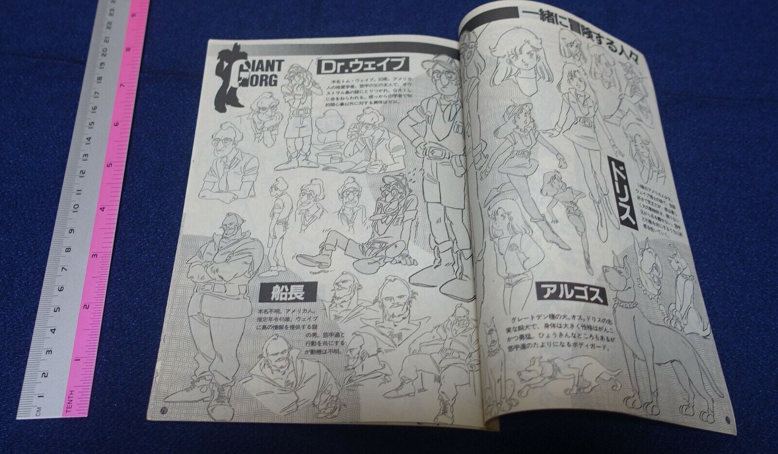Cut Out Setting Art Article Giant Gorg 