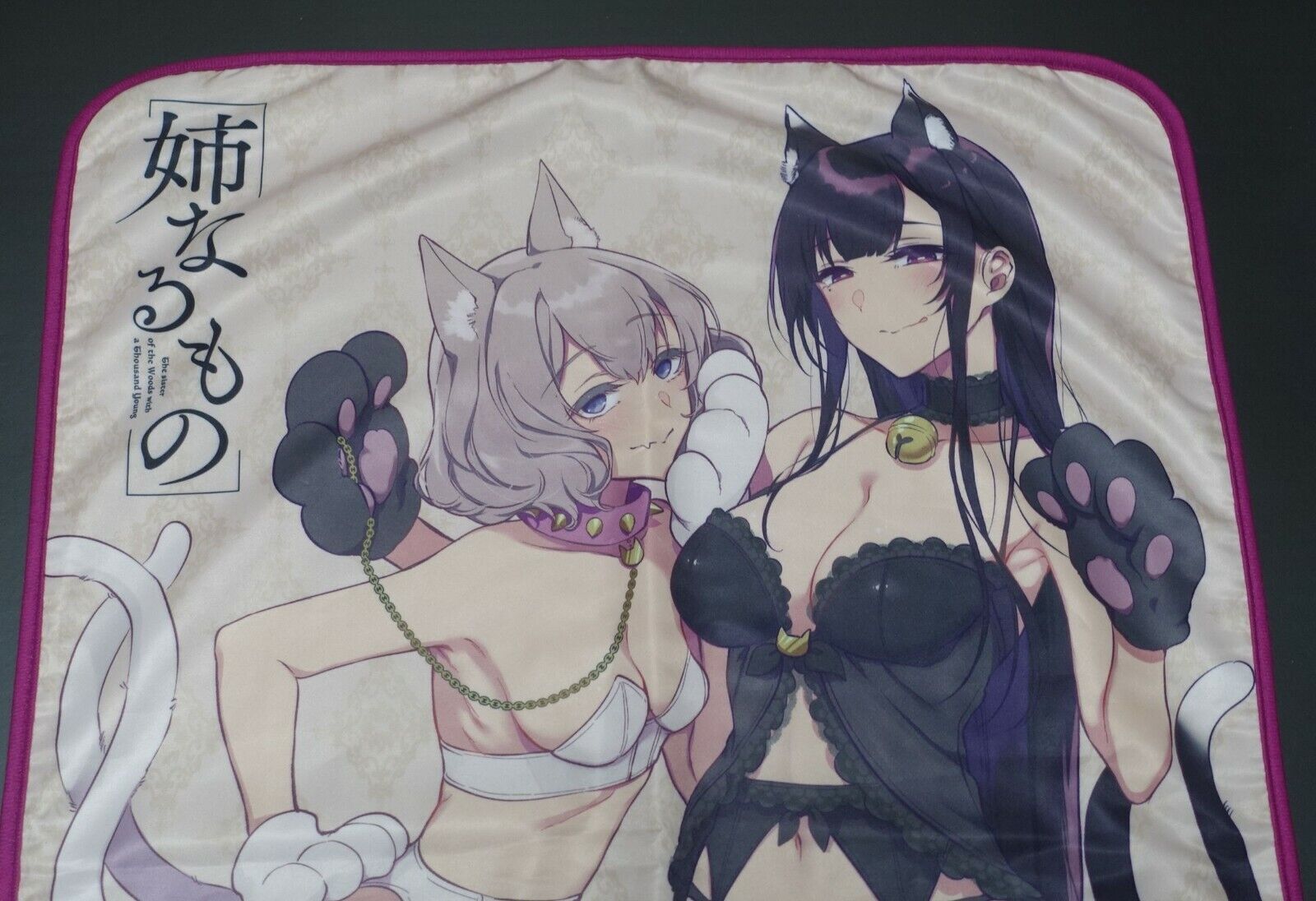 Ane Naru Mono The Elder Sister Like One Pochi Iida Art Blanket 
