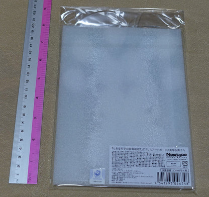 A Certain Scientific Railgun Mikoto Misaka & Kuroko Shirai Acrylic Art Board 