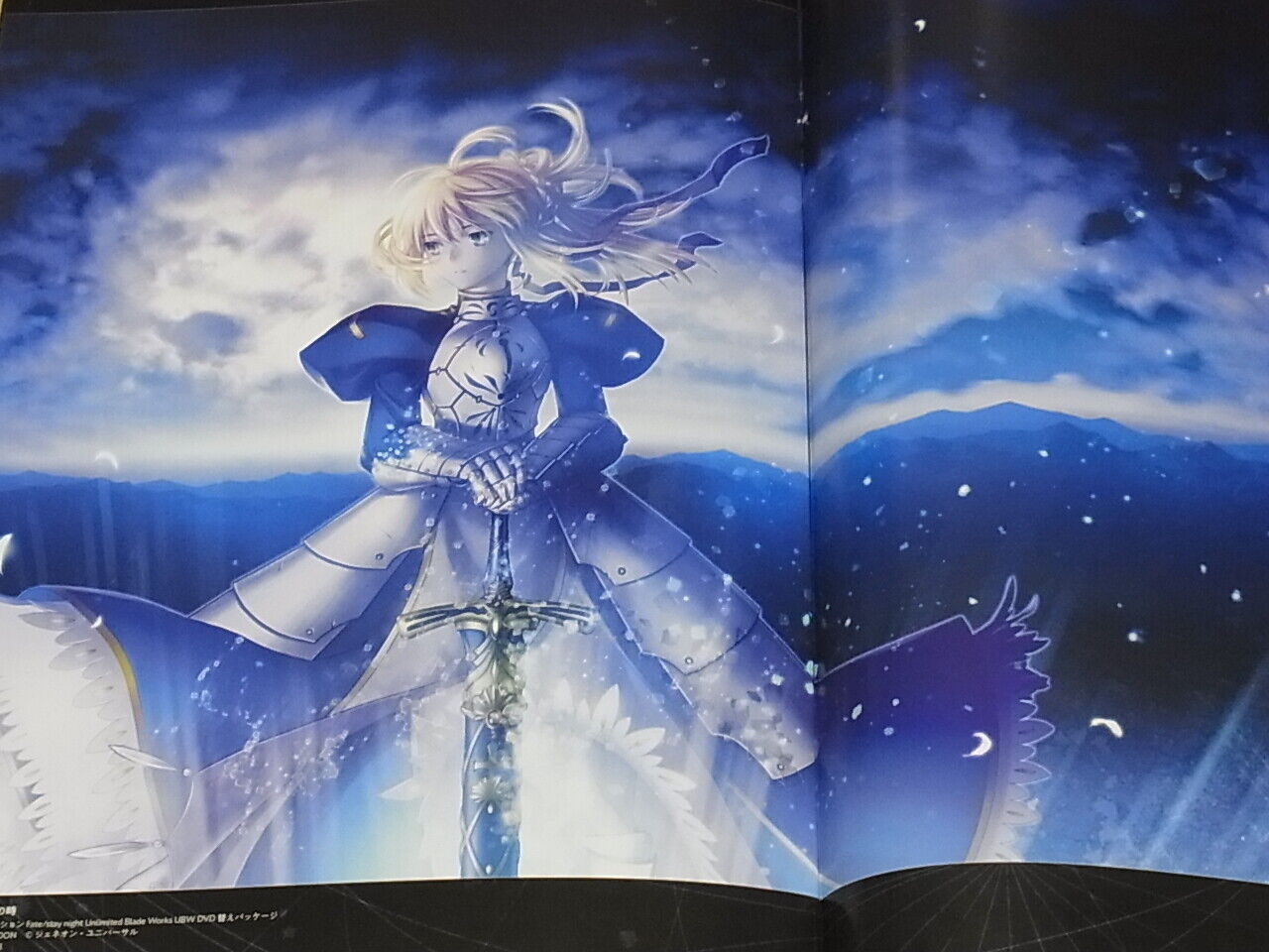 Cotetsu Yamanaka Fate stay night Color Fan Art Book Stay Gold 