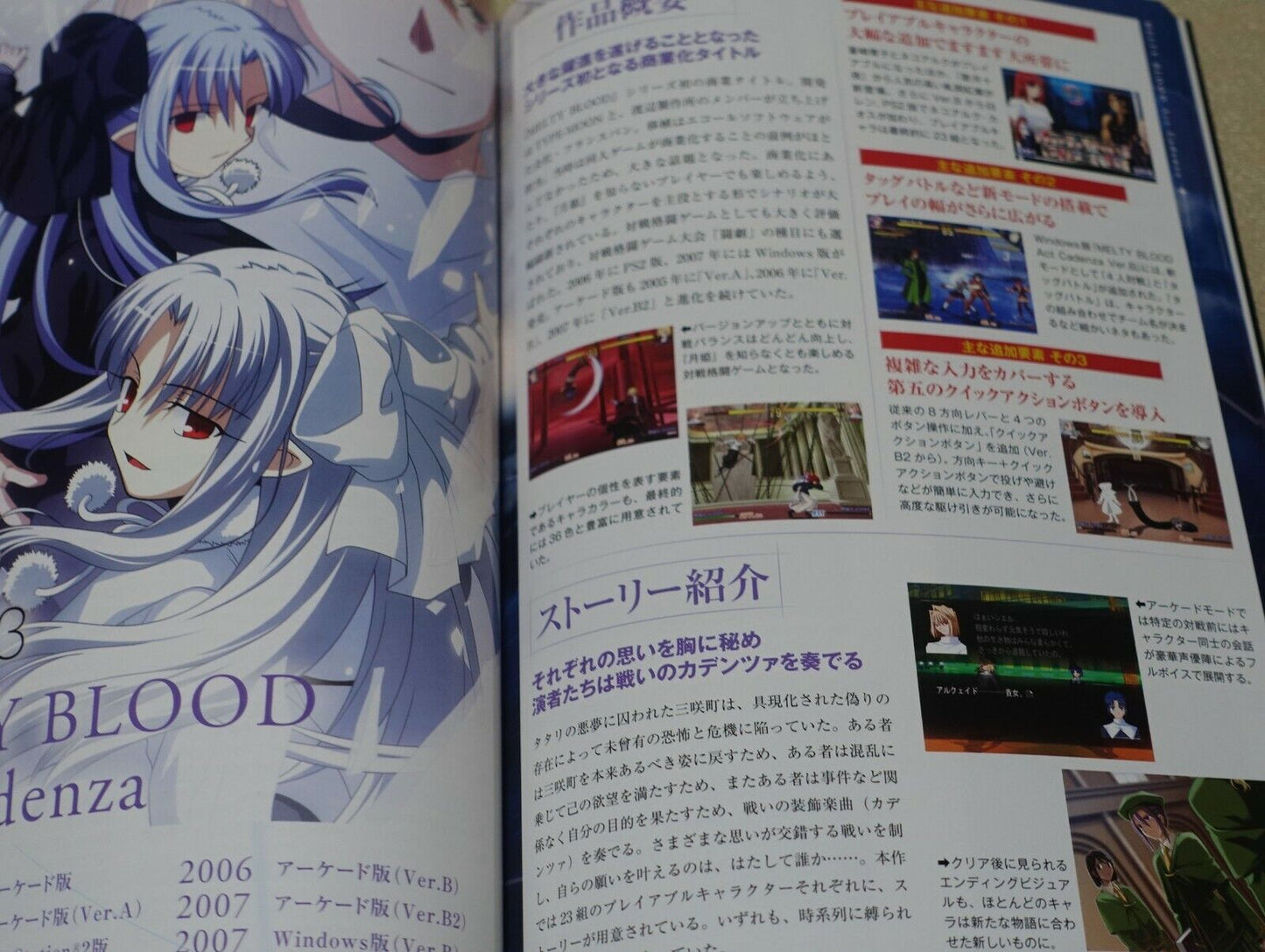 MELTY BLOOD setting & history book MELTY BLOOD DOKUHON 