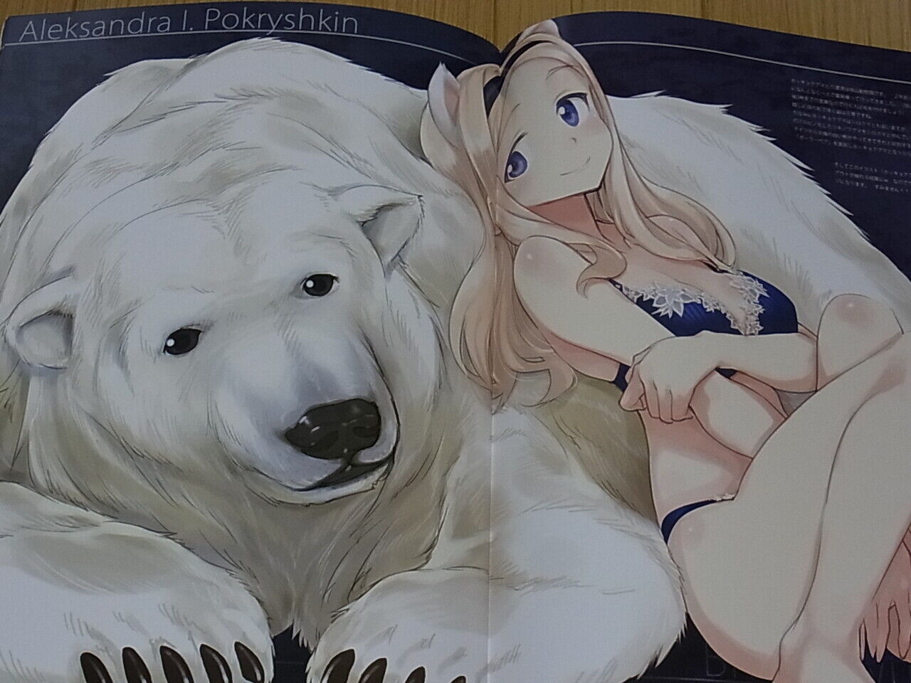 Tomoyasu Kurashima Brave Witches Color Fan Art Book Iroiro BW 