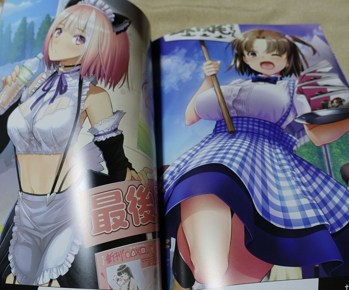 Comiket COMIC MARKET 45th Anniversary Book Air Comike2 with PVC Case 