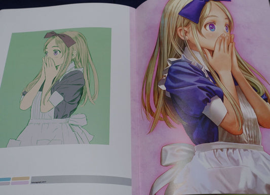 Range Murata Pasta's Estab Color Art Book Messerschumitt C100 