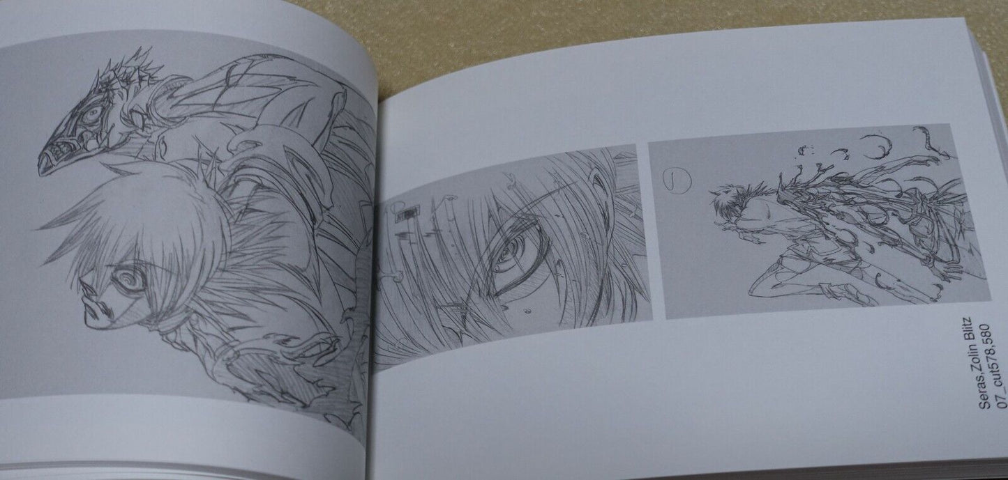 RYOJI NAKAMORI WORKS 2005-2012 HELLSING 1-11 Key Frame art collection book Set 