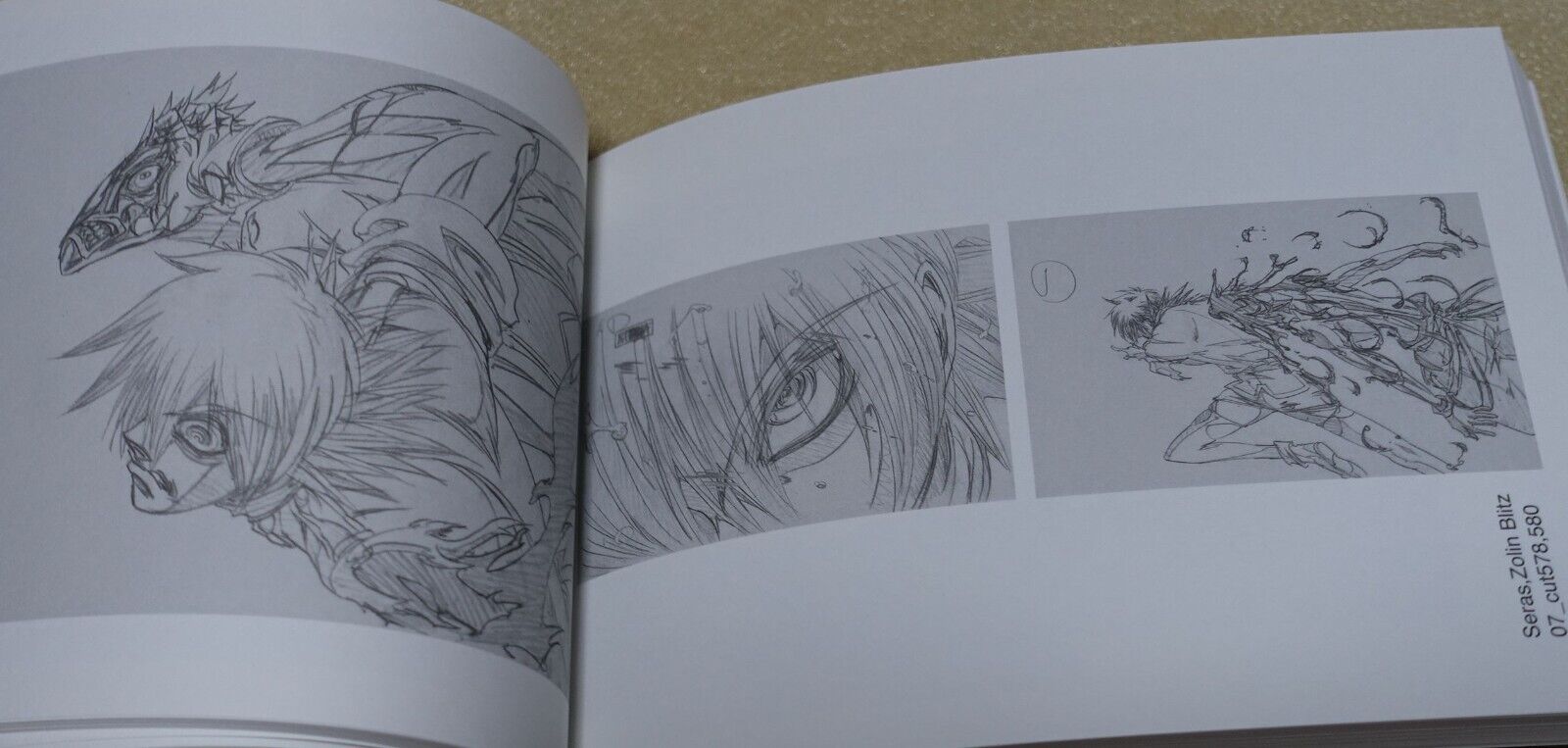 RYOJI NAKAMORI WORKS 2005-2012 HELLSING 1-11 Key Frame art collection book Set 