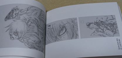 RYOJI NAKAMORI WORKS 2005-2012 HELLSING 1-11 Key Frame art collection book Set 
