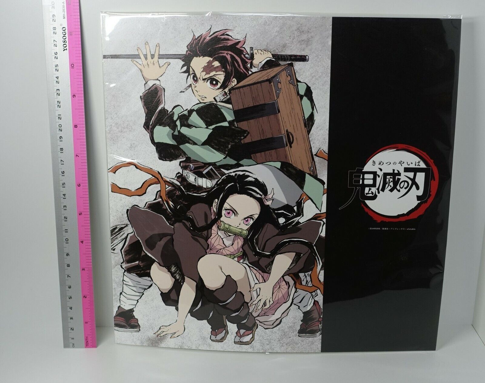 ufotable Kimetsu no Yaiba Demon Slayer Tanjiro & Nezuko Large Size Art Sheet 