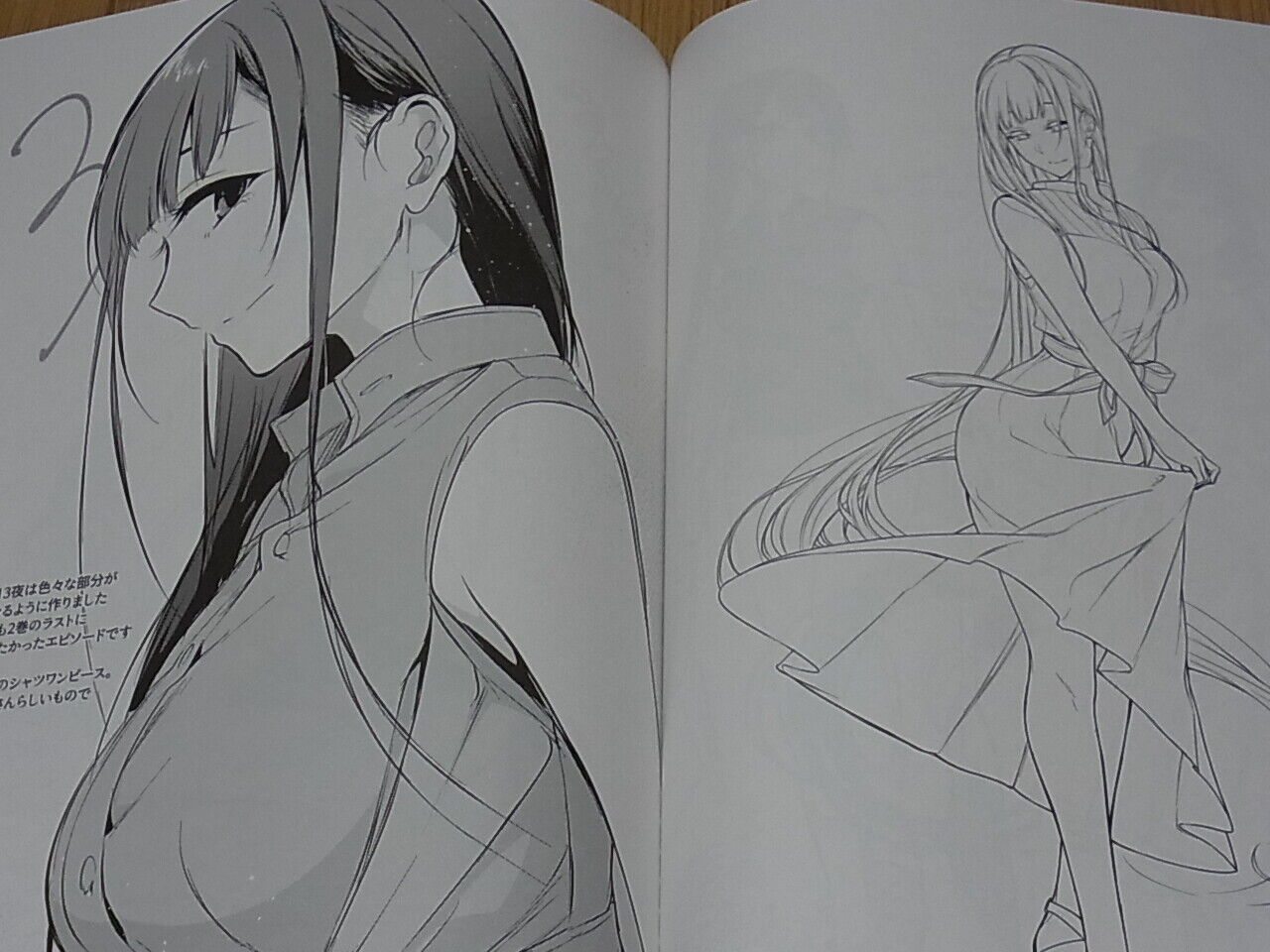 Pochi Iida The Elder Sister Like One Illustration Art Book Ane Naru Mono 5.5 