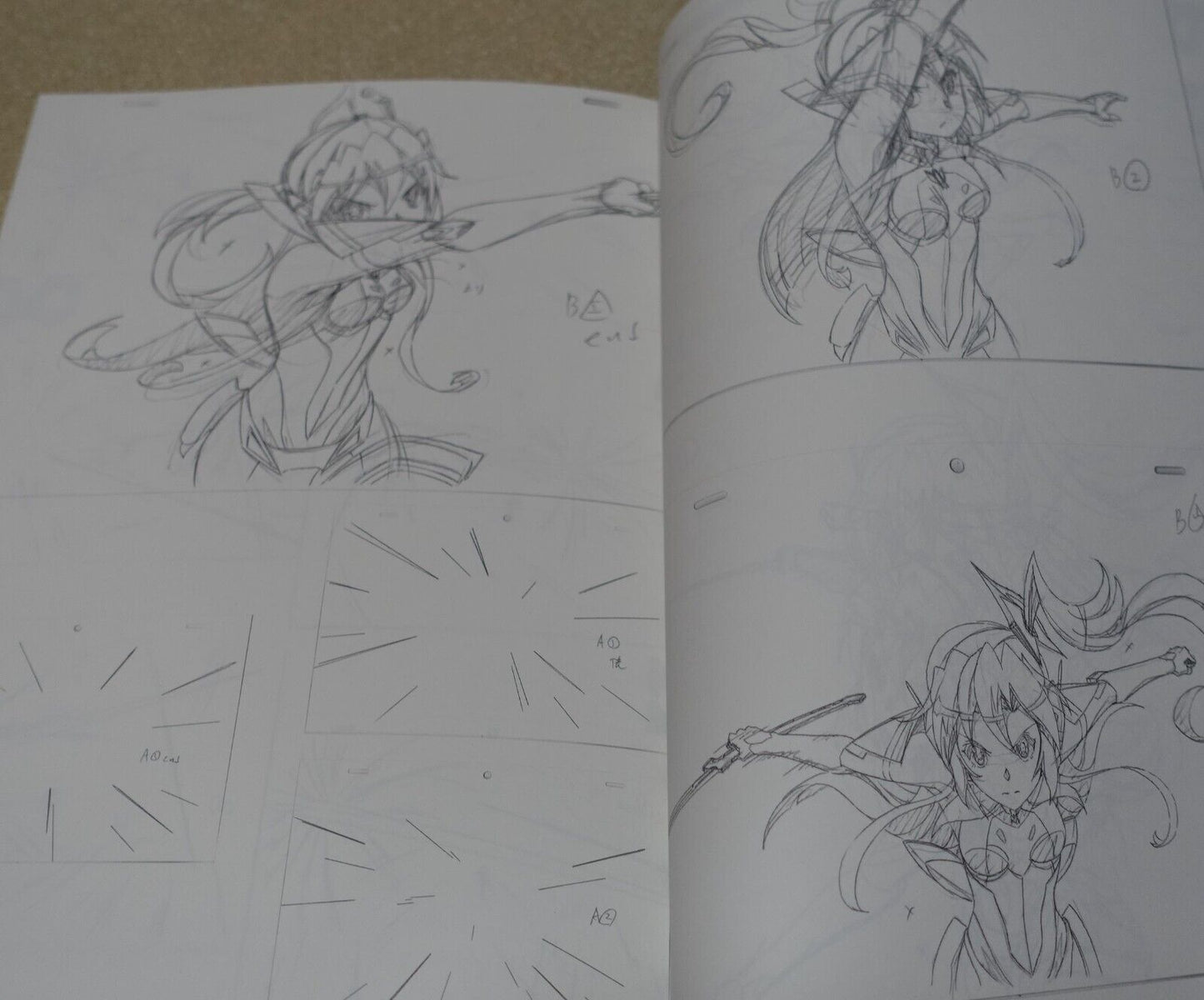 Aminendo Senki Zesshou Symphogear Key Frame Art Collection Book Hanyu Rough 03 