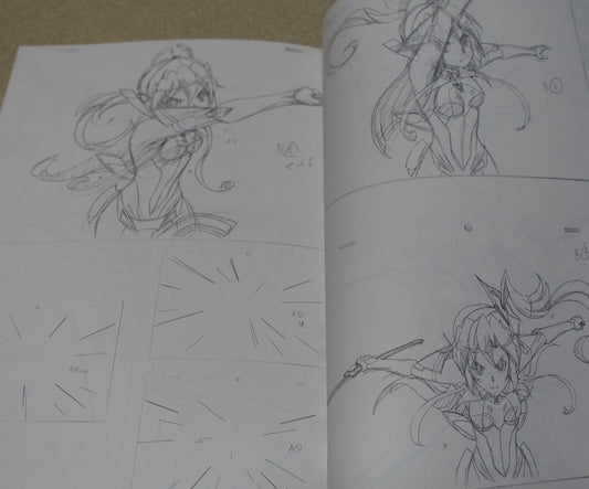 Aminendo Senki Zesshou Symphogear Key Frame Art Collection Book Hanyu Rough 03 
