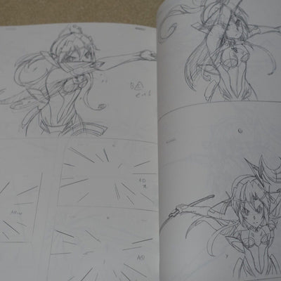 Aminendo Senki Zesshou Symphogear Key Frame Art Collection Book Hanyu Rough 03 