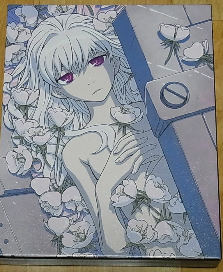 DARKER THAN BLACK Gemini of the Meteor Blu-ray vol.4 