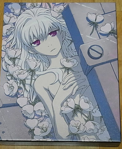 DARKER THAN BLACK Gemini of the Meteor Blu-ray vol.4 