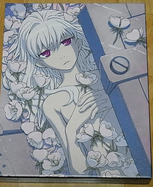 DARKER THAN BLACK Gemini of the Meteor Blu-ray vol.4 