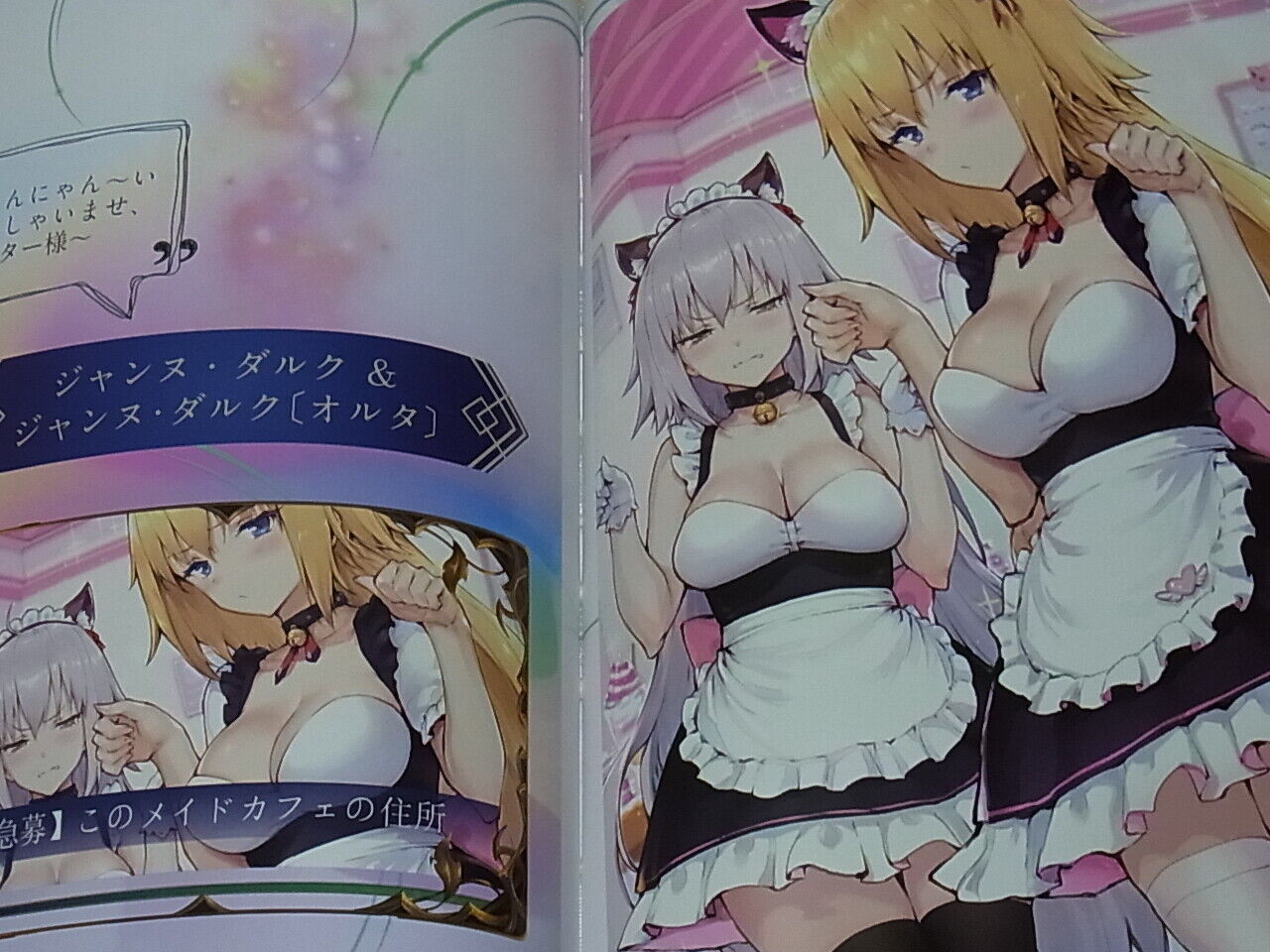 Gravity5 Fate FGO Color Fan Art Book Fate Grand Order Human Extinction 