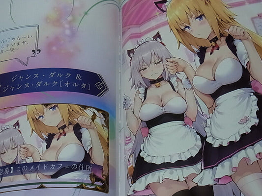 Gravity5 Fate FGO Color Fan Art Book Fate Grand Order Human Extinction 