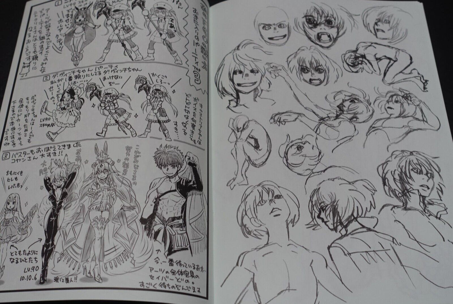 Chica Umino Fate Grand Order FGO Event Exclusive Book Oberon Sketch & Goods C100 