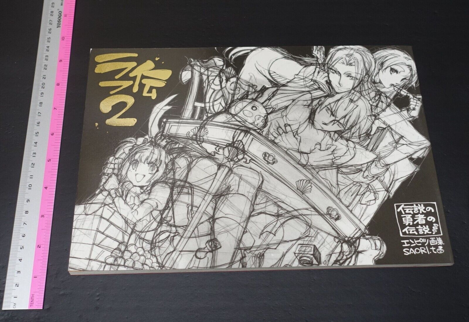 Saori Toyota The Legend of the Legendary Heroes Character Designer's Pen Drawing 