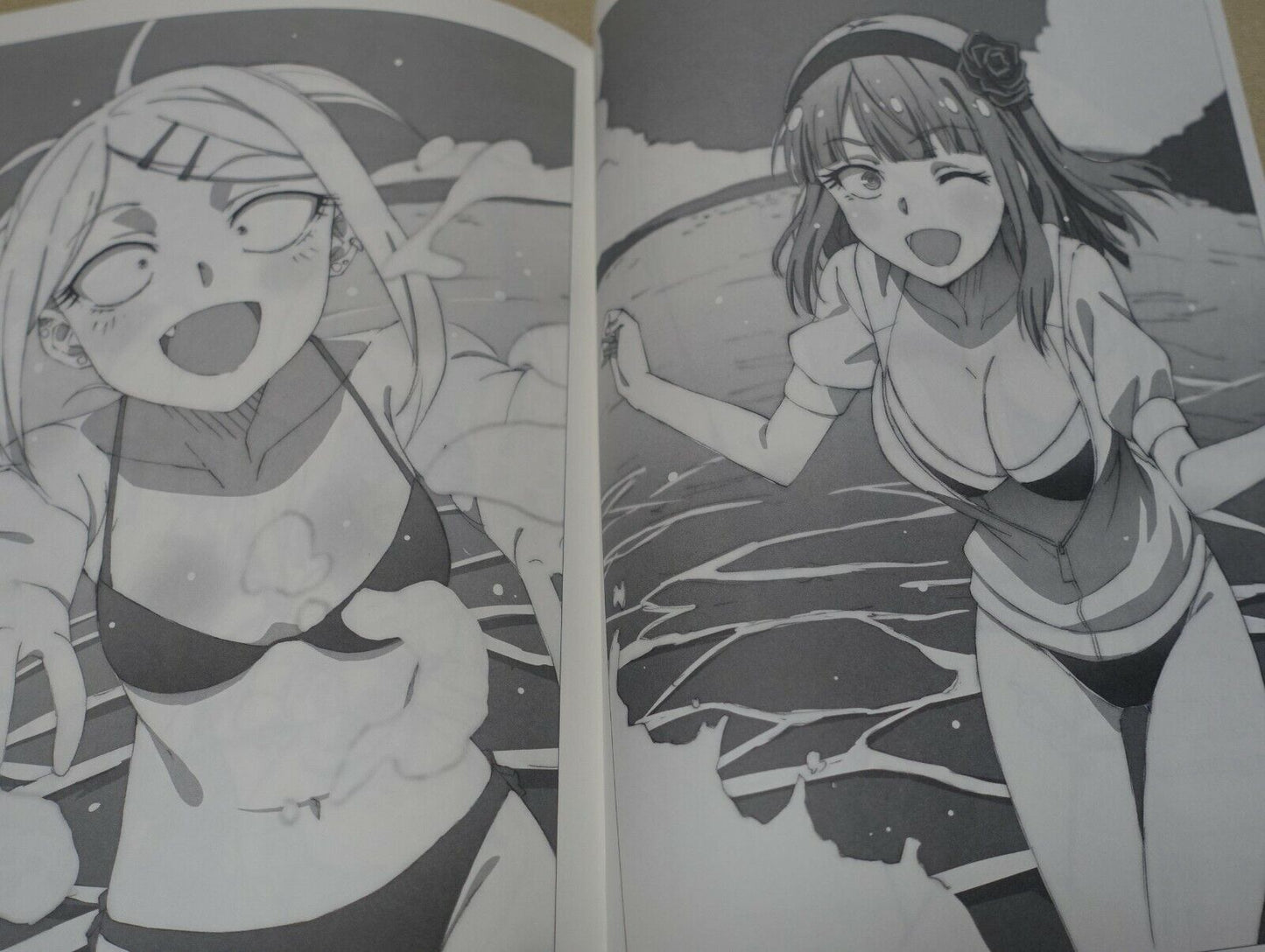 Dagashikashi Animation staff's Fan Art Book Dagashikashi Rough Book 