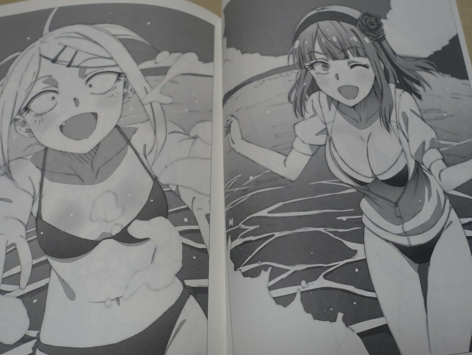 Dagashikashi Animation staff's Fan Art Book Dagashikashi Rough Book 