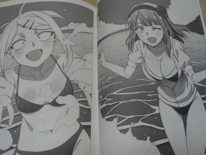 Dagashikashi Animation staff's Fan Art Book Dagashikashi Rough Book 