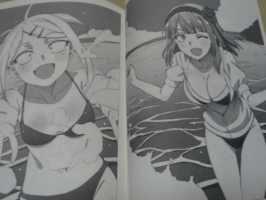 Dagashikashi Animation staff's Fan Art Book Dagashikashi Rough Book 