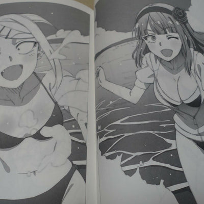 Dagashikashi Animation staff's Fan Art Book Dagashikashi Rough Book 
