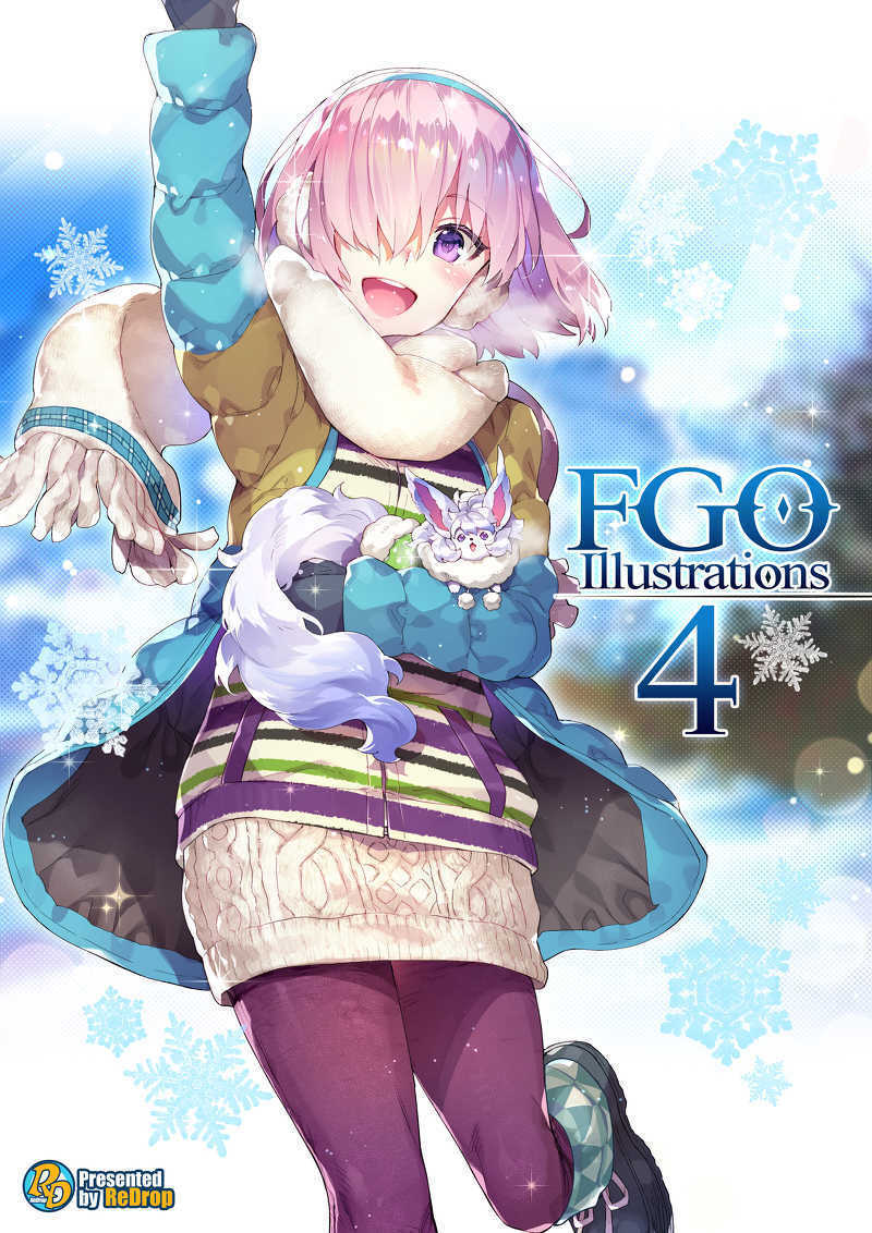 ReDrop & Raita Fate Grand Order Color Fan Art Book 11 Set FGO Illustrations 