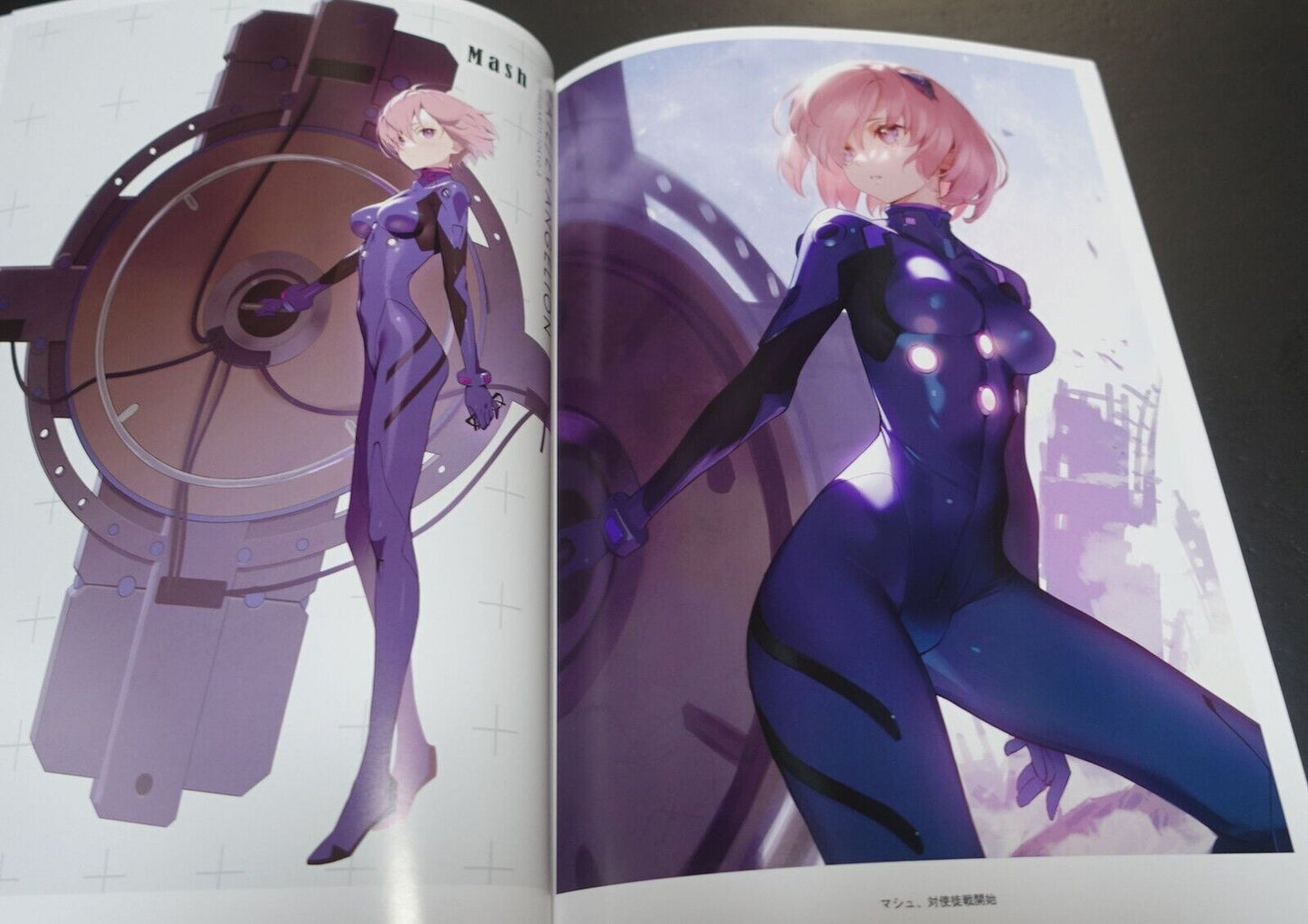 Siiino Fate & Evangelion Fan Art Book A Singularity Tokyo-3 C100 