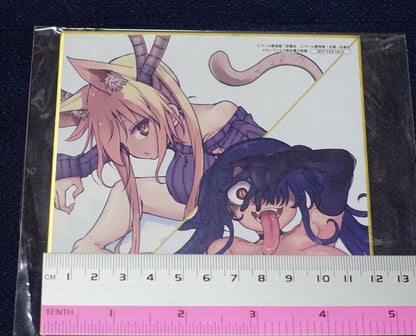Miss Kobayashi's Dragon Maid , Heion Sedai no Itaten Tachi Shikishi Art Board B 
