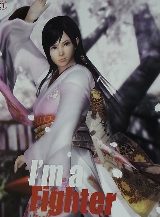 Dead Or Alive 5 Privilege Item I'm a Fighter Poster B2 Big Size Kokoro 