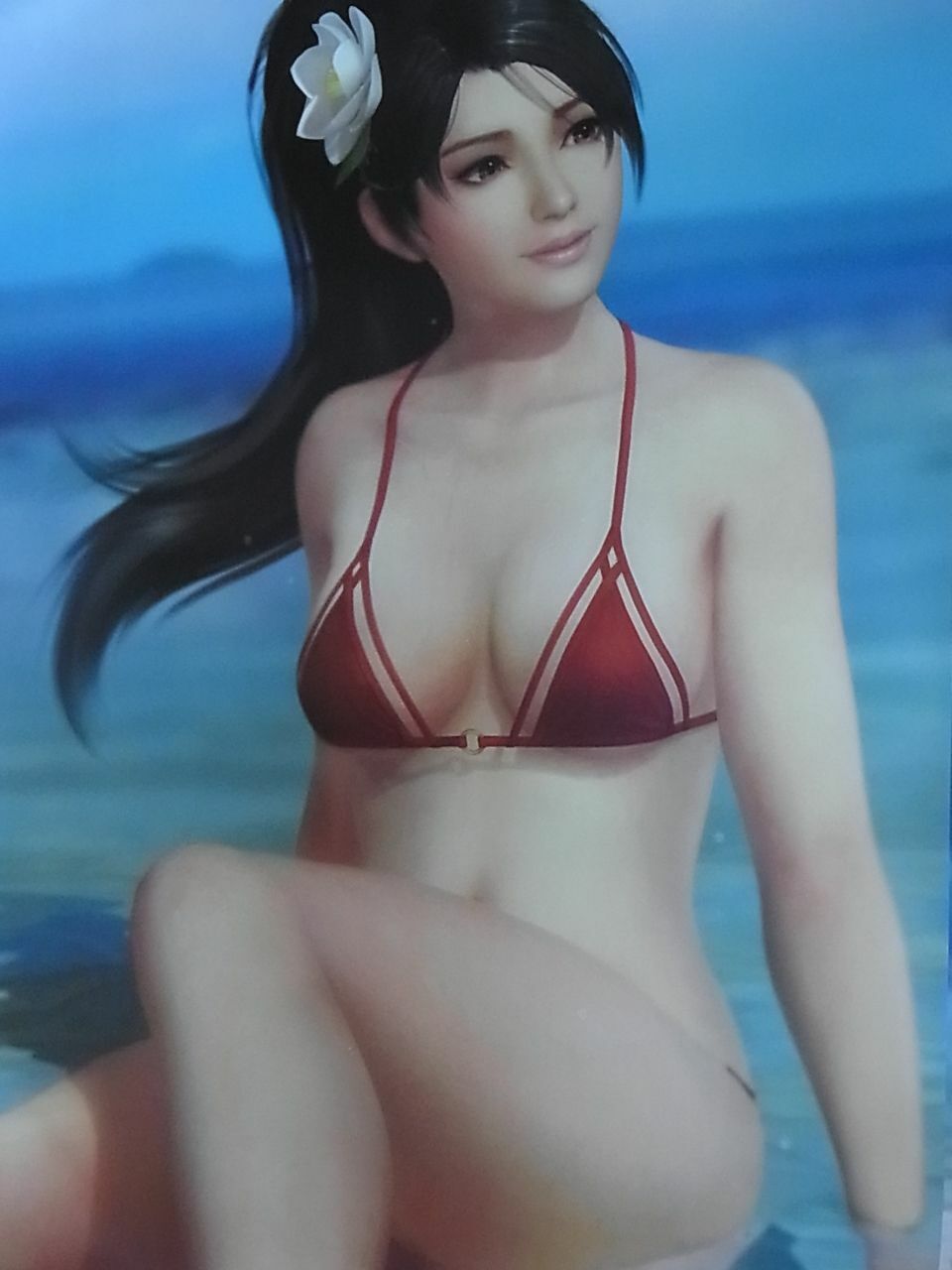 DEAD OR ALIVE 5 Last Round B2 SIZE Bath Room POSTER Momiji DOA5 
