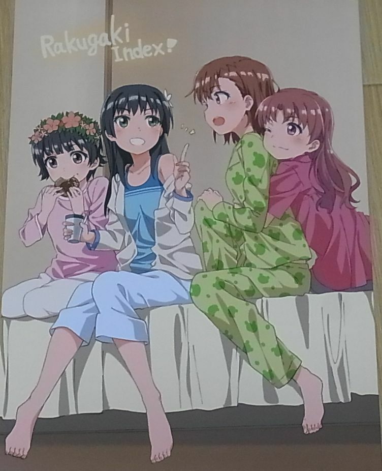 Delf A Certain Scientific Railgun Animation Staff's Fan Art Book Rakugaki Index2 