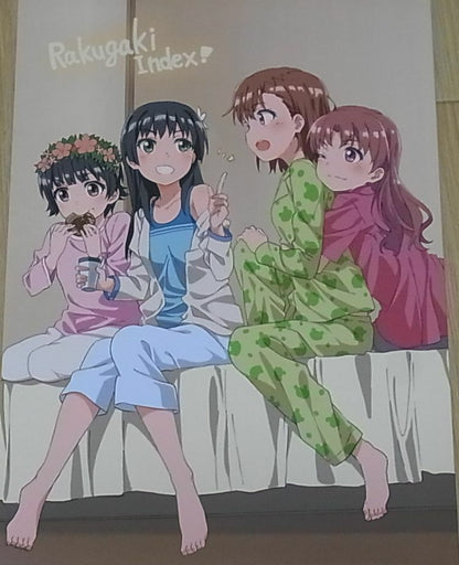 Delf A Certain Scientific Railgun Animation Staff's Fan Art Book Rakugaki Index2 