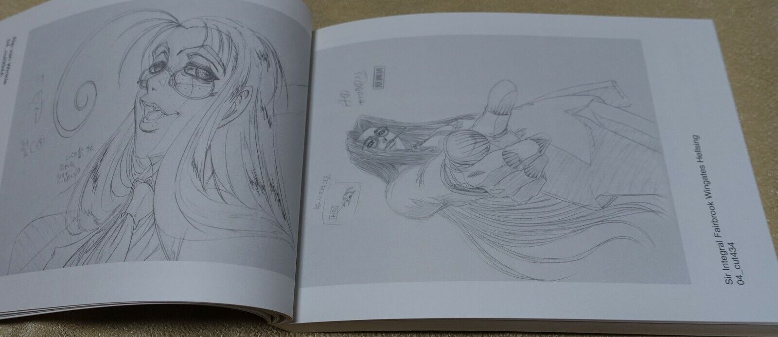 RYOJI NAKAMORI WORKS 2007-2009 HELLSING 4-6 Key Frame art collection book 