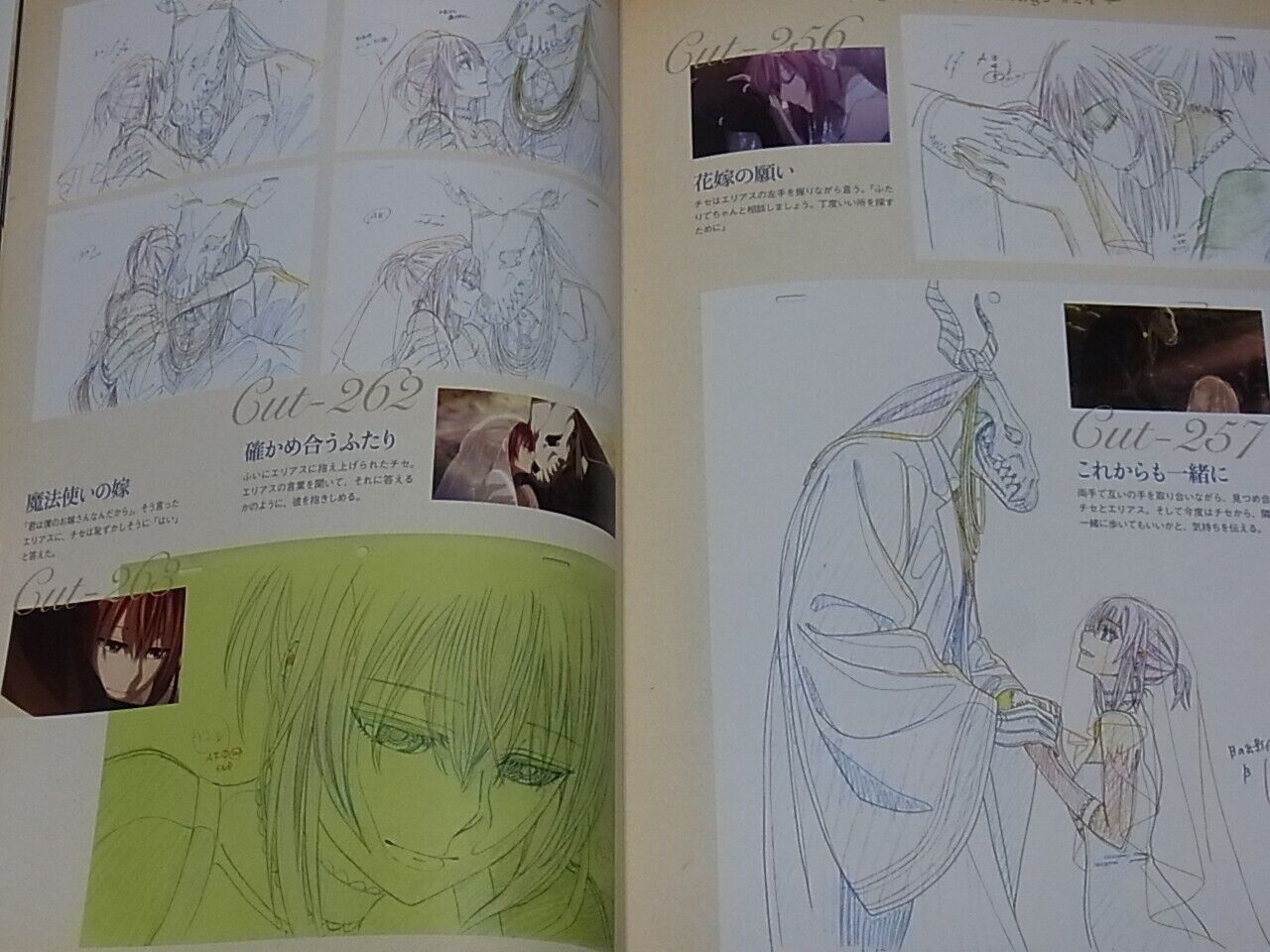 WIT STUDIO The Ancient Magus Bride Mahou Tsukai no Yome TV Animation Works 4th 