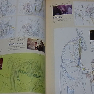 WIT STUDIO The Ancient Magus Bride Mahou Tsukai no Yome TV Animation Works 4th 