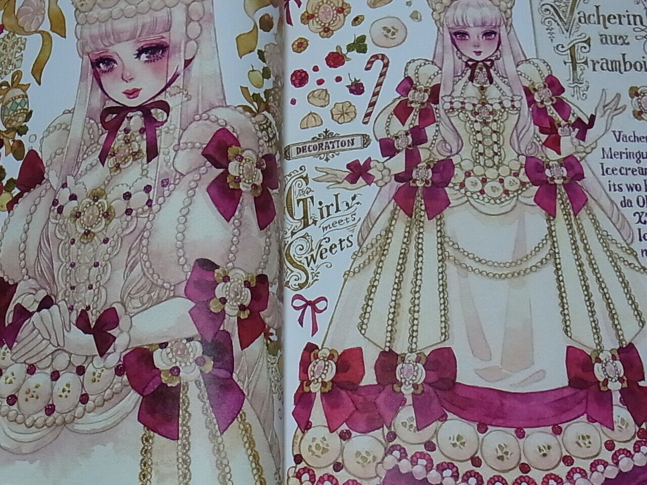 Sakizo Color Art Book Girl Meets Sweets ALA CARTE 