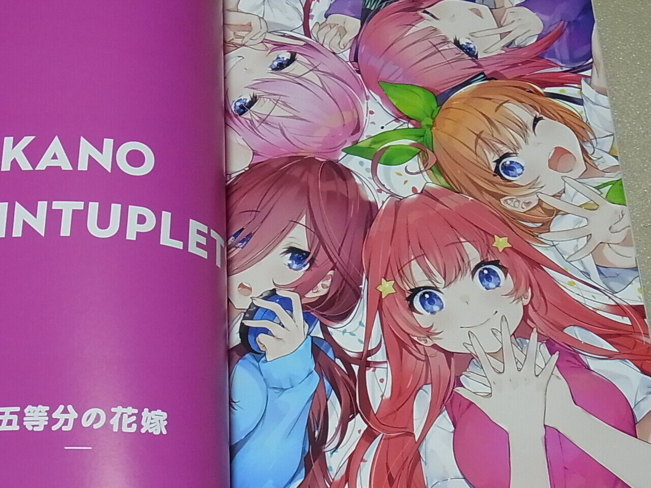 Mika Pikazo Characters Color Fan Art Book REQUEST plus C97 