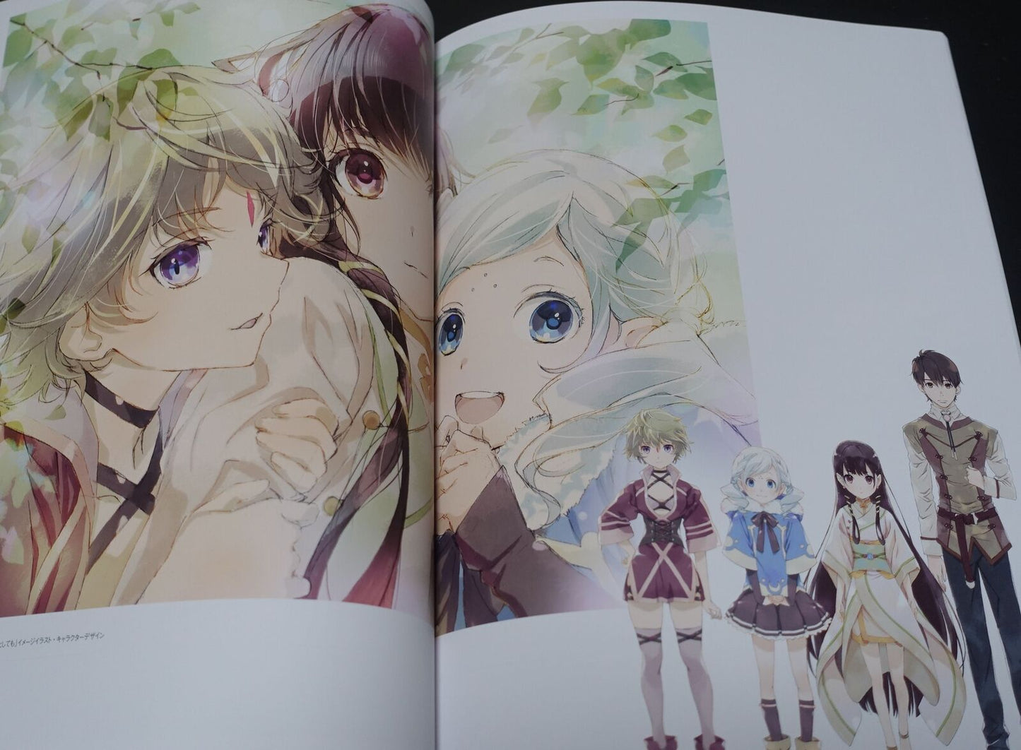 Matsukaze Koubou Hosoi Meiko Art Work Book COVER WORKS 