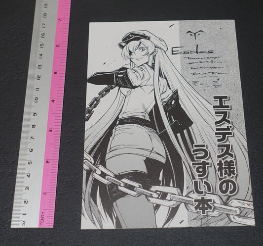 Tetsuya Tashiro Akame ga Kill! Esdeath Rough Design Art Booklet 4page 