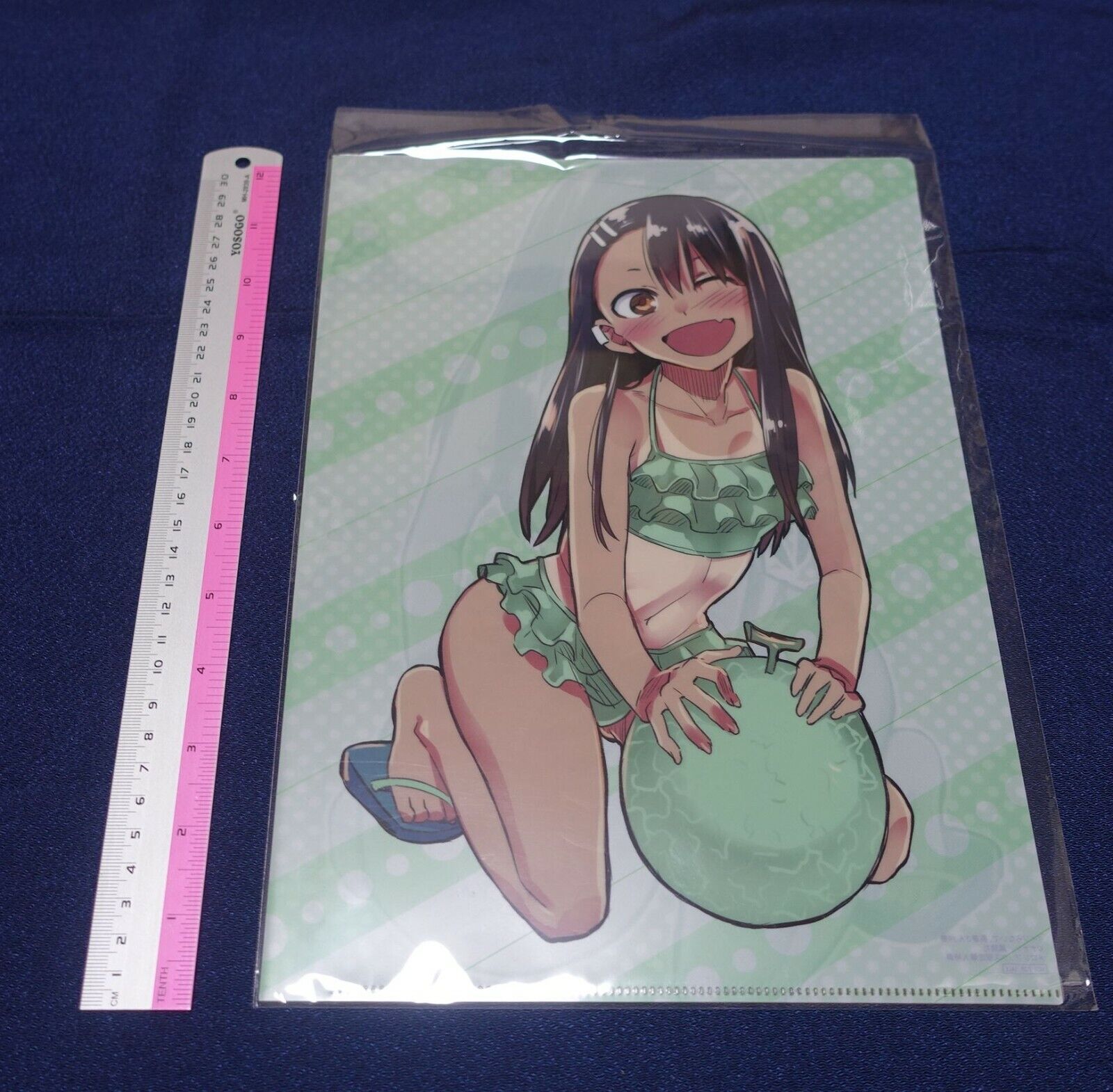 Don't Toy With Me, Miss Nagatoro PVC Art Sheet Clear File Melon Bikini 