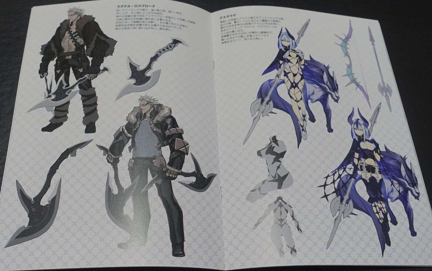 Shirow Miwa Fate Grand Order FGO Designer Art Book Romancia Aurora & Goods Set 