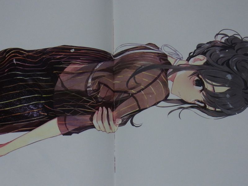 PONKAN My Youth Romantic Comedy Is Wrong, As I Expected Designer Art Book C94 