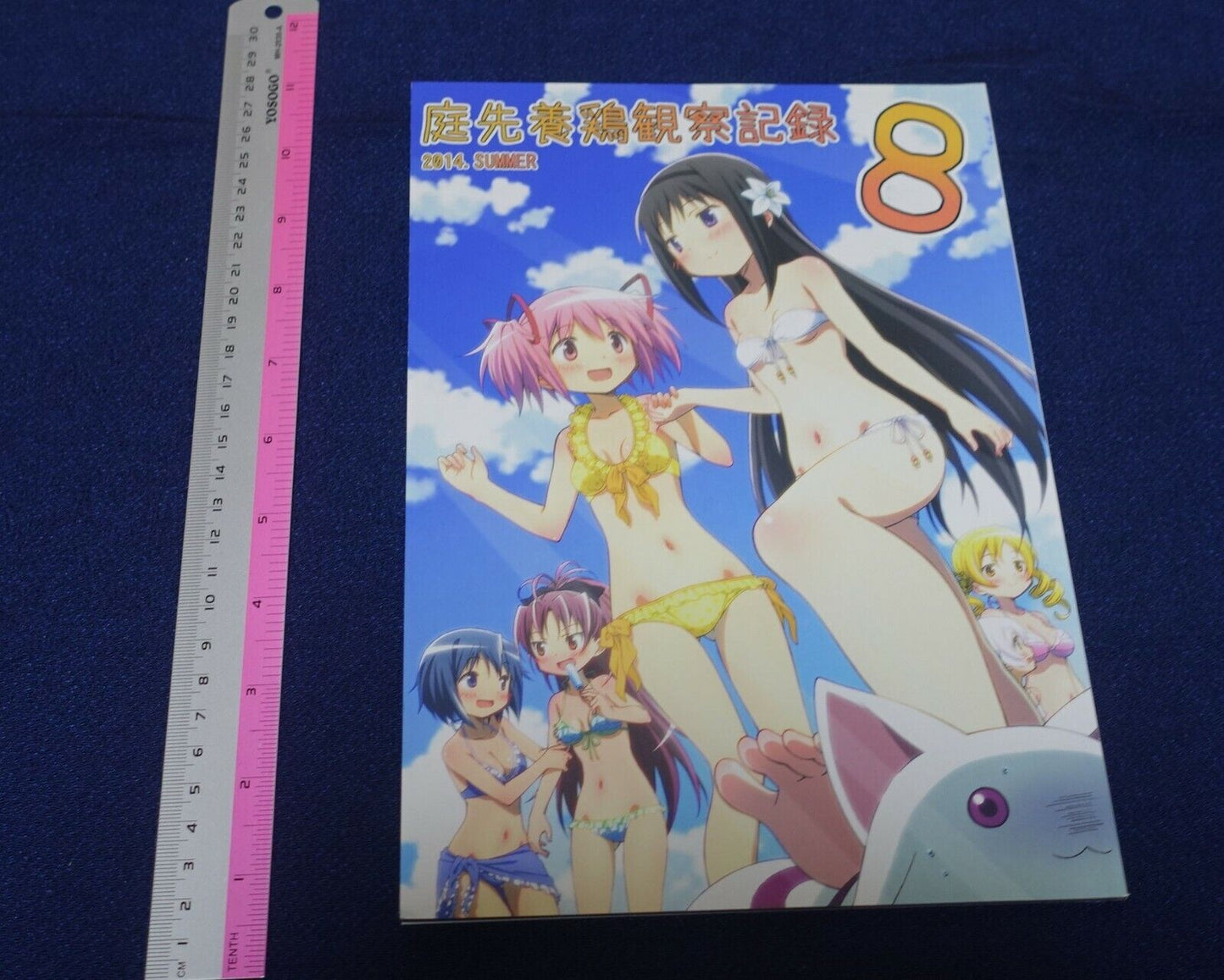 Hitoshi Miyajima Puella Magi Madoka Magica Rebellion Key Frame Art Work Book 